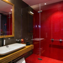 Sarkana vannas istaba: dizains, kombinācijas, toņi, santehnika, tualetes apdares piemēri-3
