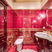 Kırmızı banyo: tasarım, kombinasyonlar, gölgeler, sıhhi tesisat, tuvalet bitirme örnekleri-4