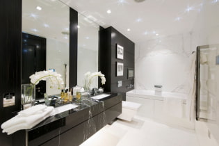 Černá a bílá koupelna: výběr povrchových úprav, vodovodní instalace, nábytek, toaletní dekorace