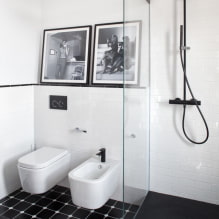 Siyah beyaz banyo: kaplama seçimi, sıhhi tesisat, mobilya, tuvalet tasarımı-3
