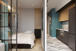 Apartament de 40 m² M. - idees de disseny modern, zonificació, fotos a l'interior