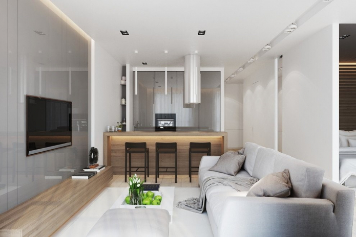 Appartement ontwerp 50 m² m. - interieurfoto's, lay-outs, stijlen