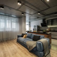 Appartement ontwerp 50 m² m. - foto's van het interieur, indeling, stijlen-1