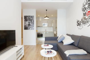 Návrh bytu 36 štvorcových. m. - zónovanie, nápady usporiadania, fotografie v interiéri
