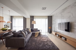 Appartement ontwerp 100 m². m. - ideeën voor arrangementen, foto's in het interieur van de kamers