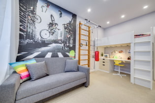 Paauglio berniuko kambario interjeras: zonavimas, spalvos, stiliaus, baldų ir dekoro pasirinkimas