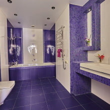 Bilik mandi ungu dan ungu: kombinasi, hiasan, perabot, paip dan hiasan-5