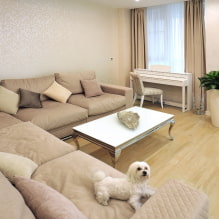 Dzīvojamā istaba smilškrāsas toņos: apdares, mēbeļu, tekstilizstrādājumu, kombināciju un stilu izvēle-7