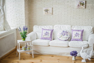 Kā izrotāt Provence stila dzīvojamās istabas interjeru? - detalizēta stila rokasgrāmata