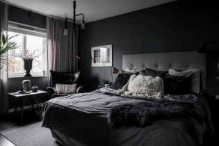 Zwarte slaapkamer: foto in het interieur, ontwerpkenmerken, combinaties