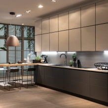 Кухни в стил Арт Нуво: дизайнерски характеристики, облицовки и мебели-0