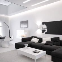 Melnbaltā viesistaba: dizaina iezīmes, reāli piemēri interjerā-2