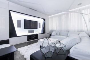 Černobílý obývací pokoj: designové prvky, skutečné příklady v interiéru