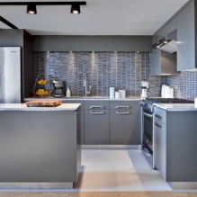 Nhà bếp màu xám trong nội thất: ví dụ thiết kế, kết hợp, lựa chọn lớp hoàn thiện và rèm cửa-6