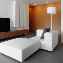 Obývacia izba v štýle minimalizmu: dizajnové tipy, fotografie v interiéri-1