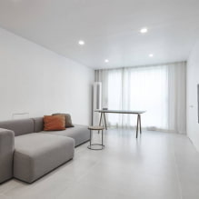 Ruang tamu dengan gaya minimalis: tip reka bentuk, foto di kawasan pedalaman-4