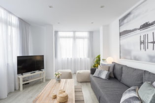 Biela obývacia izba: dizajnové prvky, fotografie, kombinácie s inými farbami