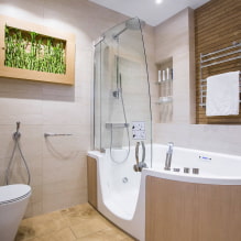 Vonios kambario dizainas su dušu: nuotrauka interjere, išdėstymo galimybės-1