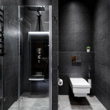 Vannas istabas dizains ar dušu: foto interjerā, izkārtojuma iespējas-3
