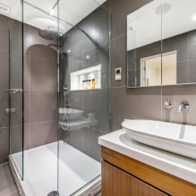 Kylpyhuoneen suunnittelu suihkulla: valokuva sisätiloissa, järjestelyvaihtoehdot-8