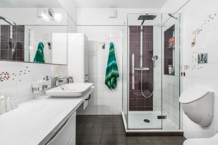 Conception de salle de bain avec douche: photo à l'intérieur, options d'agencement