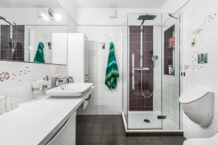 Badeværelse design med brusebad: foto i interiøret, arrangement muligheder