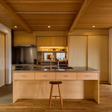 Japoniško stiliaus virtuvė: dizaino ypatybės ir dizaino pavyzdžiai-3
