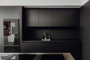 Bếp đen: đặc điểm thiết kế, kết hợp, ảnh thực tế