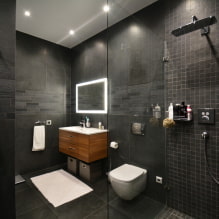Interiér koupelny kombinovaný s toaletou-1