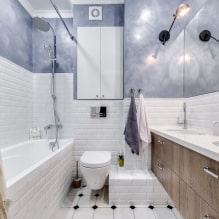 Kylpyhuoneen sisustus yhdistettynä wc-2: een