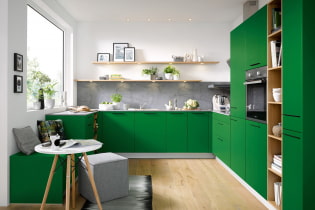 Vihreä keittiö: valokuvia, suunnitteluideoita, yhdistelmiä muiden värien kanssa