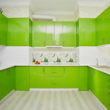 Groene keuken: foto's, ontwerpideeën, combinaties met andere kleuren-2