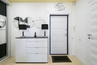 خزانة ذات أدراج في الردهة: صور حديثة ، أفكار تصميم جميلة