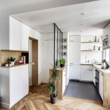 Πώς να φτιάξετε κουζίνα στο διάδρομο και στο διάδρομο; -0