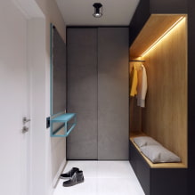 Hành lang cho một hành lang hẹp: hình ảnh xem xét các mô hình hiện đại trong nội thất-6