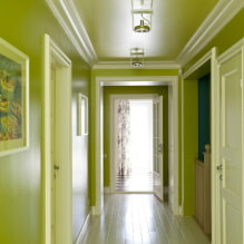 Comment choisir une couleur pour le couloir et le couloir? Intérieur sombre ou clair ? -6