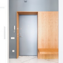 Funktioner af designet af gangen og gangen i stil med minimalisme-1