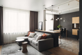 Sala de estar y cocina combinada de 30 m2. m.- foto en el interior, planificación y zonificación.