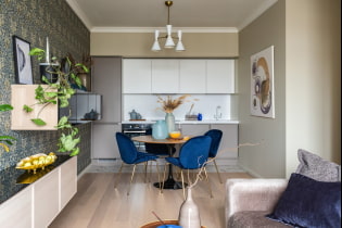 غرفة معيشة - مطبخ 25 متر مربع - نظرة عامة على أفضل الحلول