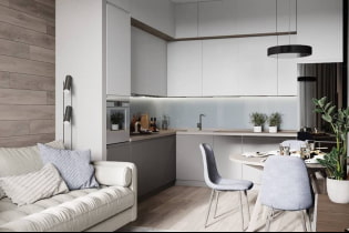 Las mejores fotos e ideas de diseño para una cocina-sala de estar de 15 m2. metro.