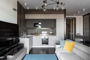 Revisió de les millors solucions per al disseny de cuina-sala d'estar