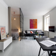 Soveværelse og stue i et rum: eksempler på zoneinddeling og design-5