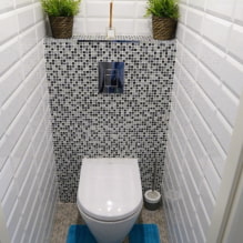 Kaip sukurti šiuolaikišką tualeto dizainą Chruščiovoje? (40 nuotraukų) -1