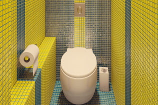 Kuinka luoda moderni wc-muotoilu Hruštšoviin? (40 kuvaa)