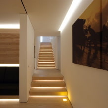 إضاءة الدرج في المنزل: صور حقيقية وأمثلة على الإضاءة -4