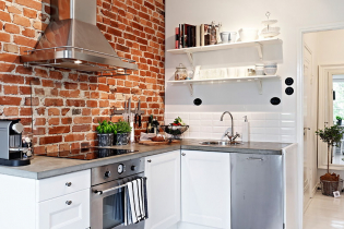 Brick in the kitchen - examples of stylish design