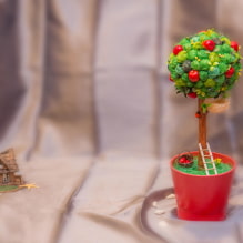 Bagaimana membuat topiary dengan tangan anda sendiri? -3