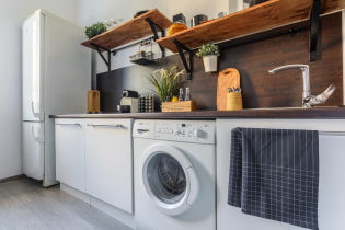 Una visió general de les millors solucions per col·locar una rentadora a la cuina