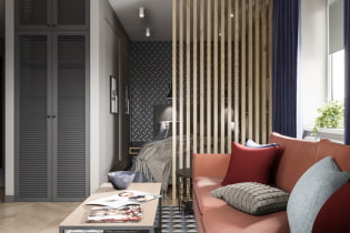 Projecte d'un elegant apartament de 35 metres quadrats a Yaroslavl