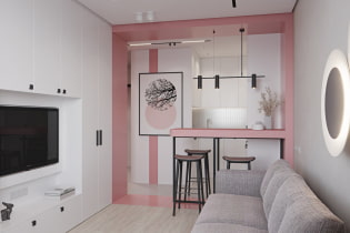 Proiect elegant de euro-apartament de 33 mp în Sankt Petersburg